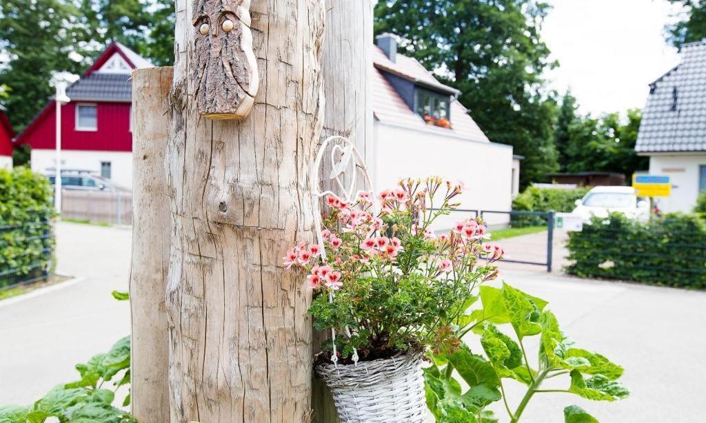 Sonnenblumenhaus 02 Apartman Prerow Kültér fotó