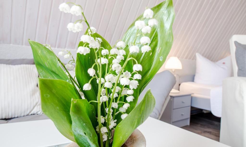 Sonnenblumenhaus 02 Apartman Prerow Kültér fotó